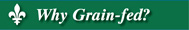 Why Grain Fed Veal